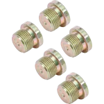 Náhradní olejové výpustě M20 x 1,5 mm pro BGS 126, sada 5 ks - B126-SM20