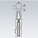 Klešťový klíč chromované 250 mm  - 8605250T