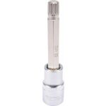 Hlavice s bitem XZN 1/2