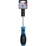 Detail šroubováku BGS Torx T25 pro bezpečnostní šrouby s otvorem – B7849-T25