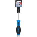 Šroubovák PH2 v závěsném balení, 100 mm, BGS – B7913