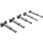 Detail sady forstnerových vrtáků BGS různých průměrů, 5 velikostí – B92025