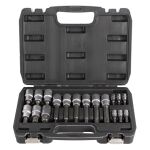 Hlavice s bity TORX 18 ks 1/2