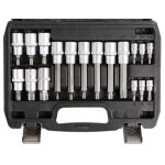 Hlavice s bity TORX 18 ks 1/2