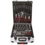 Gola sada v hliníkovém kufru - AH187012