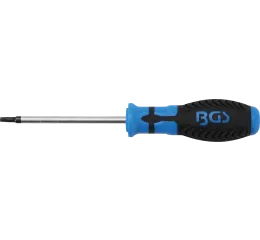 Šroubovák Torx - T25, 100 mm, BGS - B7849-T25