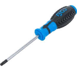 Šroubovák Torx - T30, 100 mm, BGS - B7849-T30
