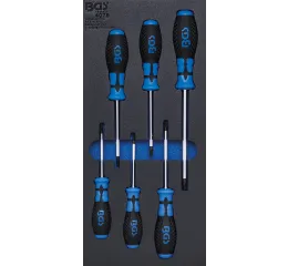 Sada šroubováků v pěnové výplni, Torx, 6 ks - B4078