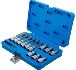 Sada hlavic s bity imbus, 1/4", 1/2", 3 - 12 mm, 18 ks - B5171