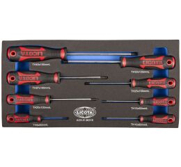 Sada šroubováků v pěnové výplni, Torx, 8 ks - LIACKE38316