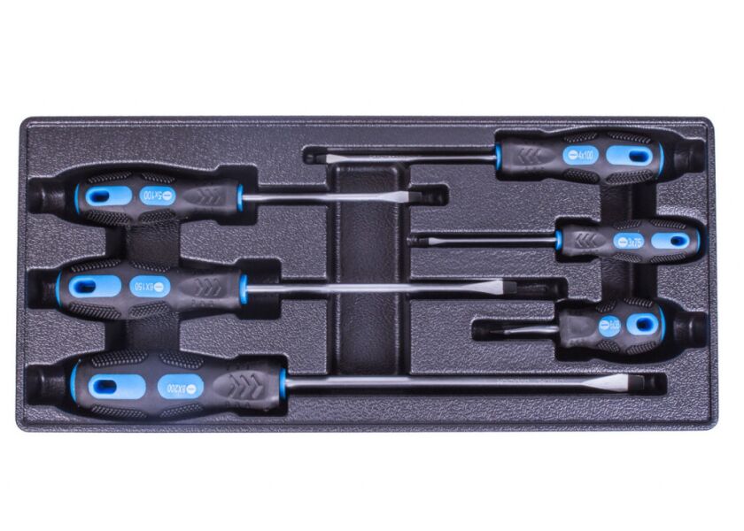 Sada plochých šroubováků ve výplni do dílenského vozíku, 6 dílů - VV006PS01