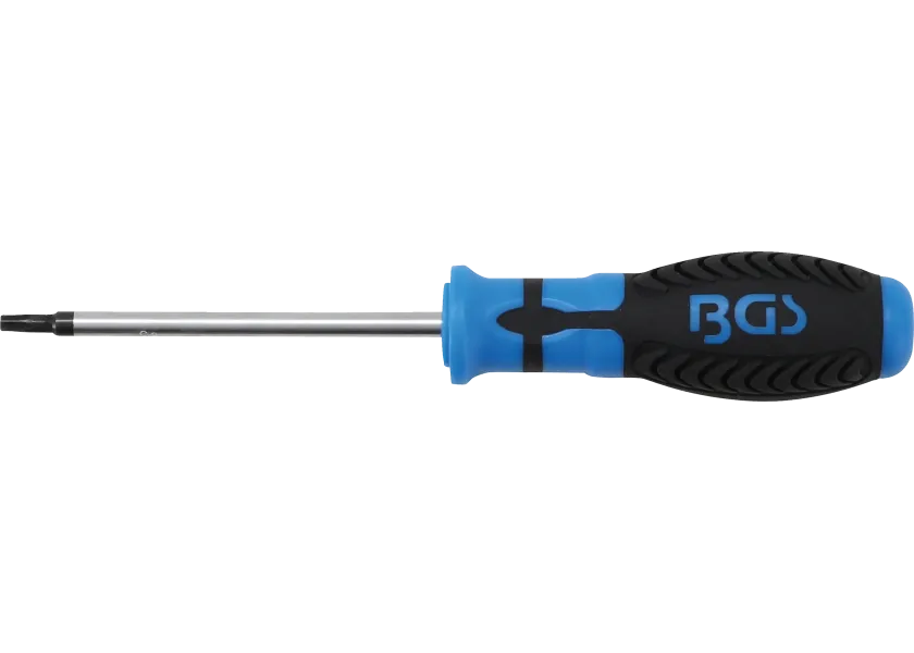 Šroubovák Torx - T25, 100 mm, BGS - B7849-T25